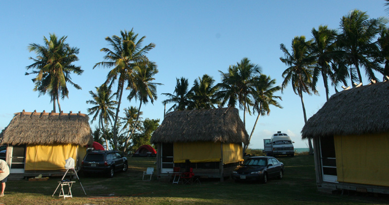 Thatched huts