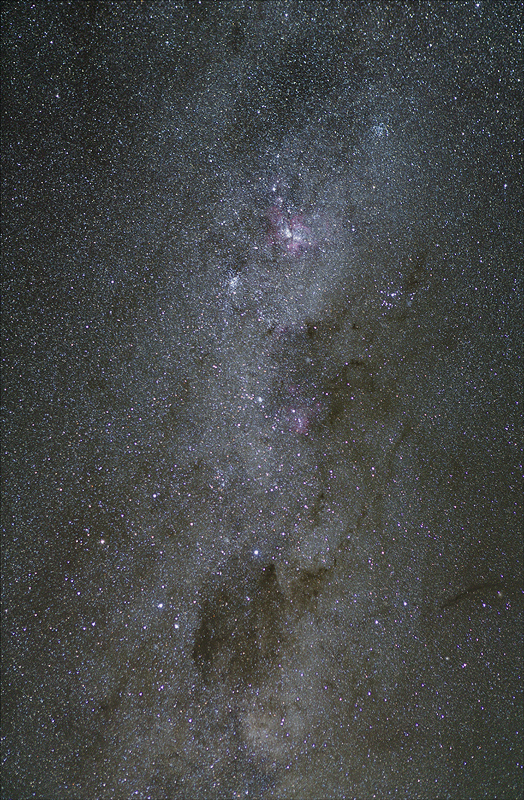 Carina region