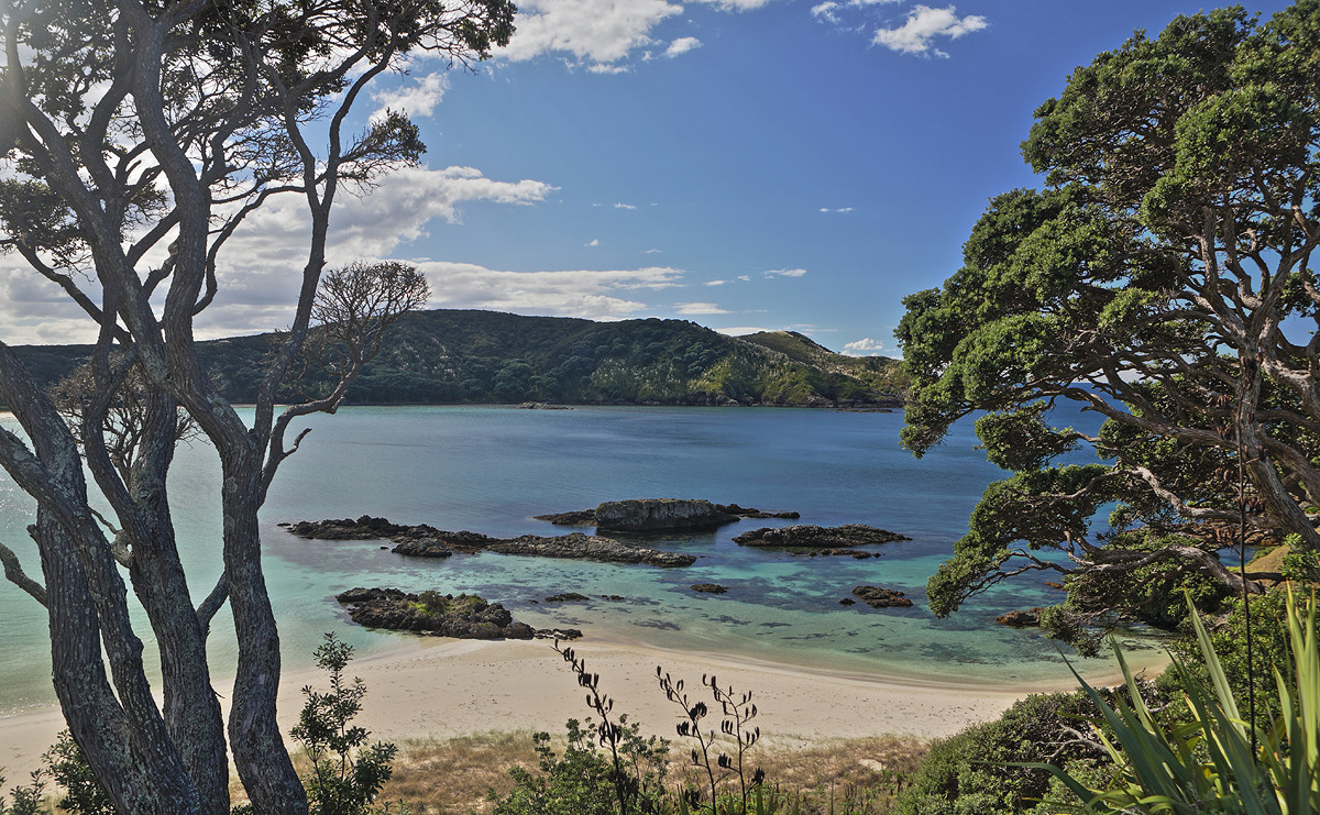 A serene beach - Matai Bay