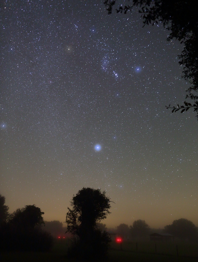 Orion shines through the fog