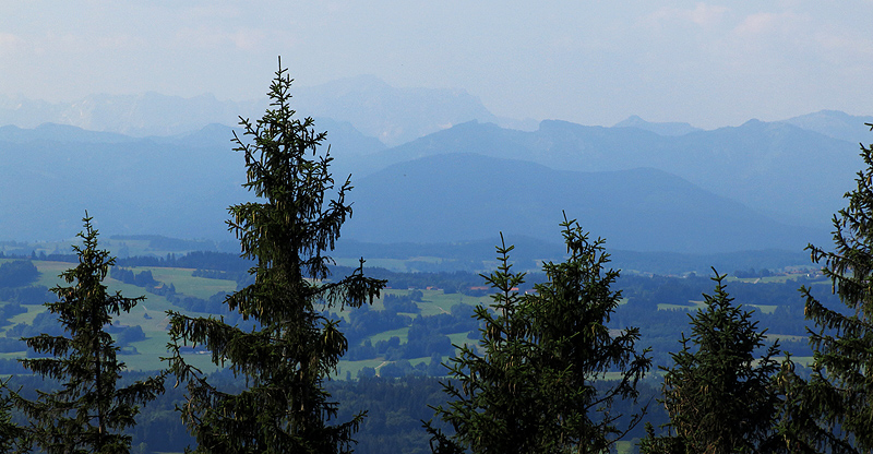 Mountains in the distance