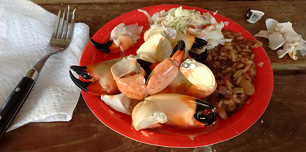 Stone crab!