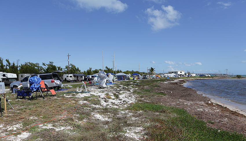 The WSP site populated by attendees