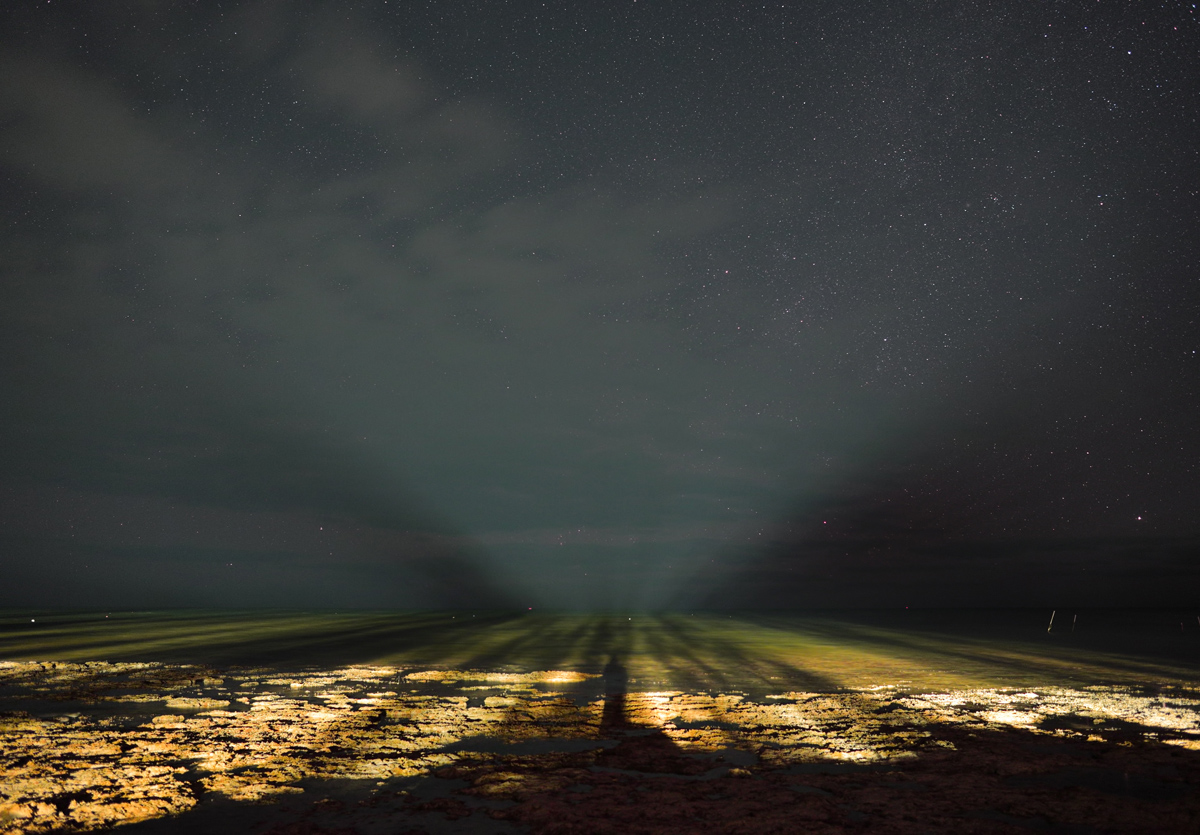 The illuminated ocean and beach