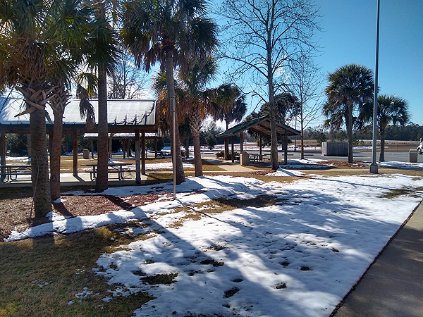 Snow in Florida
