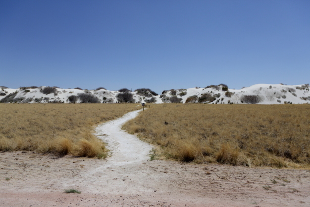 The path to the dunes