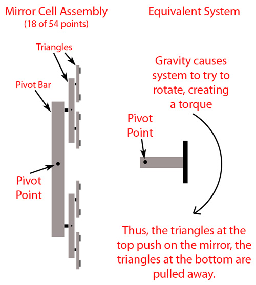 Diagram of cell forces