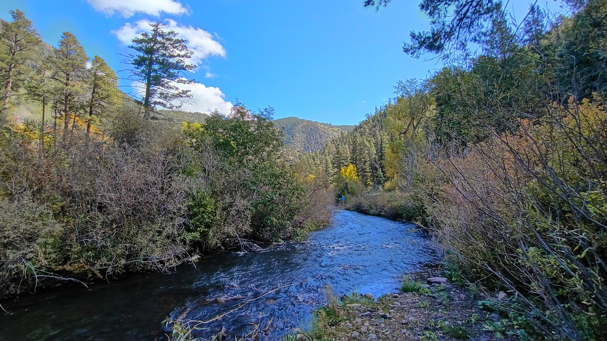 Cimarron Canyon State Park, NM