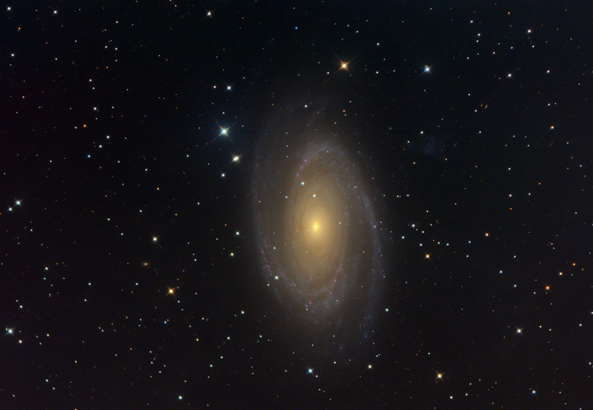 M81, color