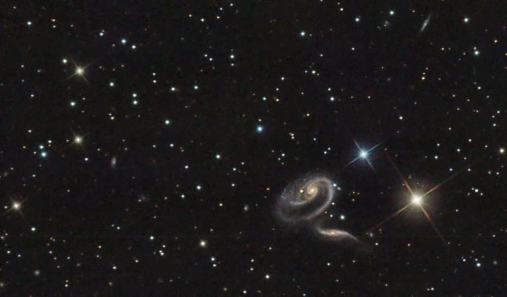 ARP 273